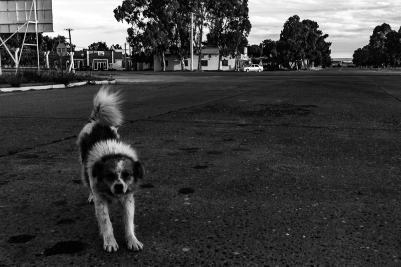 km-100-380-04-_mg_5100