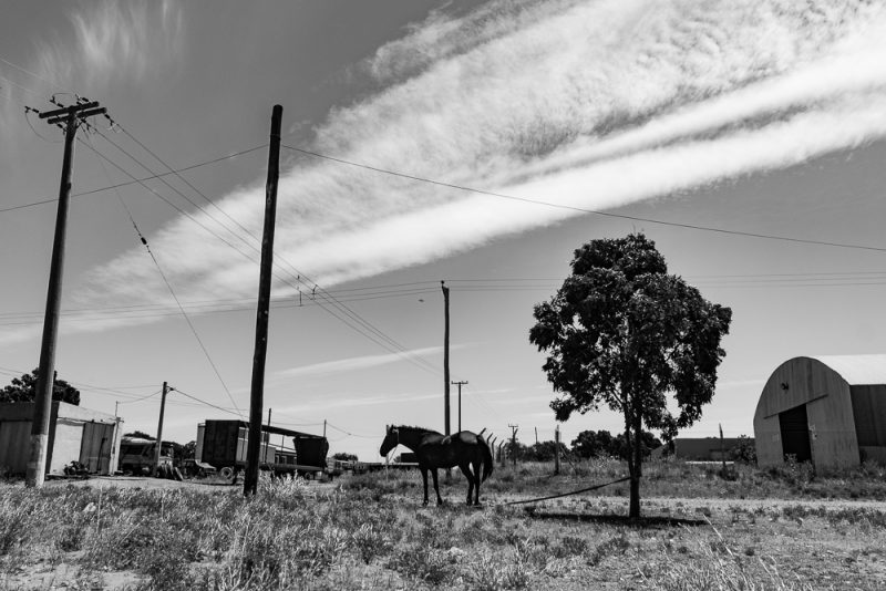 km-100-380-05-_mg_5216