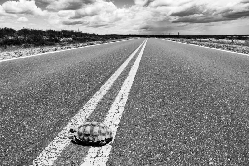 km-100-380-06-_mg_5393