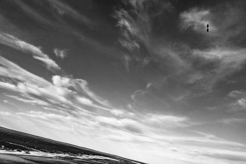 km-100-380-07-_mg_5083