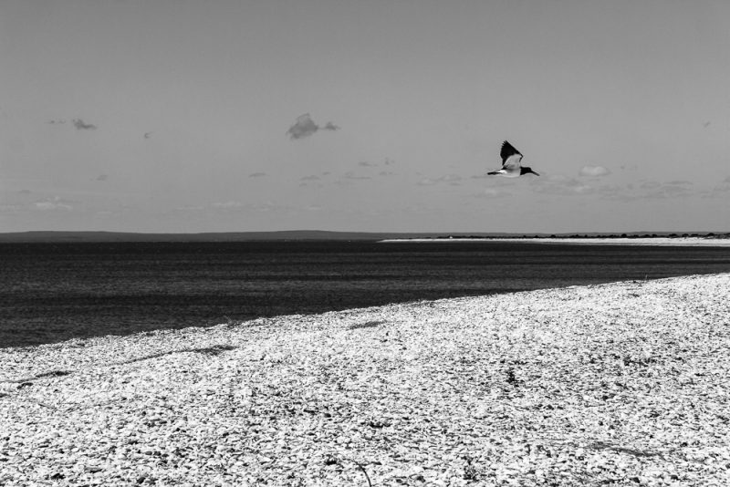 km-100-380-11-_mg_5234