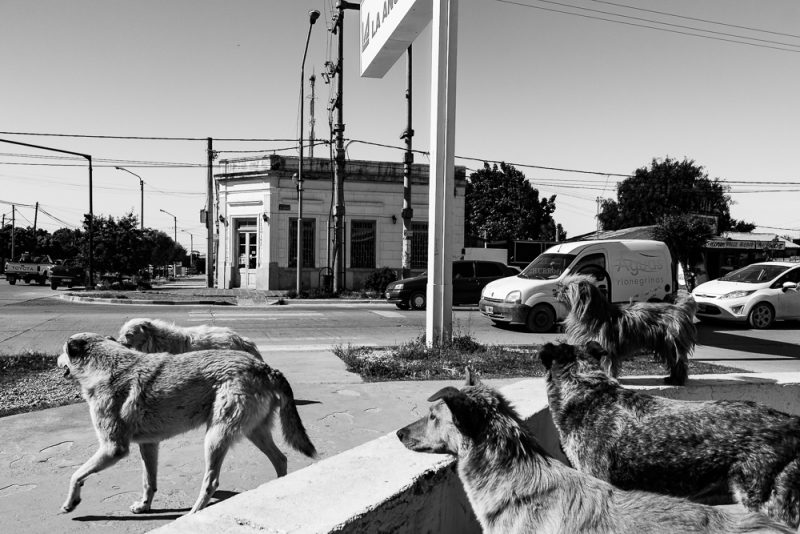 km-100-380-13-_mg_5124