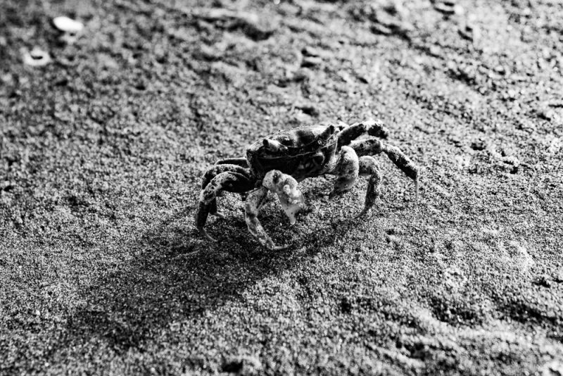 km-100-380-23-_mg_5451