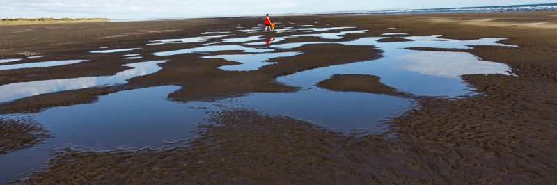 km-100-380-24-_mg_5421